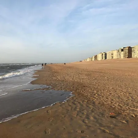 Les Petrels In With Balcony, Cleaning Included Apartment Koksijde