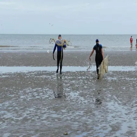 In With Sea View, Cleaning Included