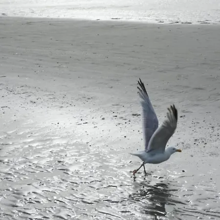 In With Sea View, Cleaning Included *