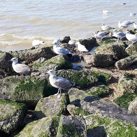 Les Petrels In With Balcony, Cleaning Included *